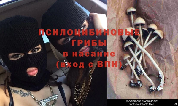 мяу мяу мука Бородино